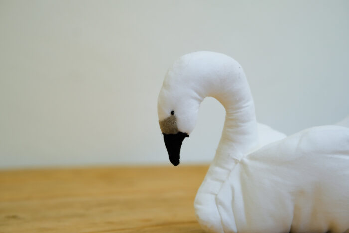 予約  “swan” 3