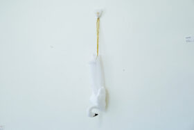 予約  “swan” 4