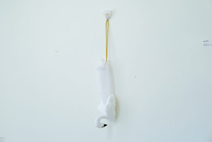 予約  “swan” 4
