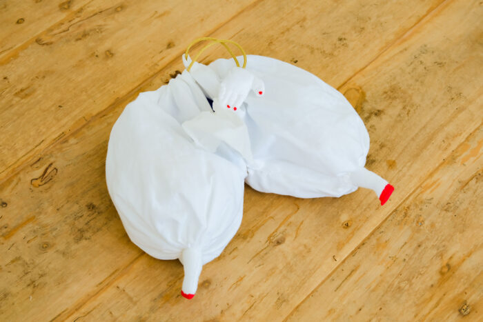 予約 tissue case  赤い靴 4