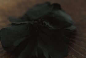 花嫁の刺繍 コサージュ black 2