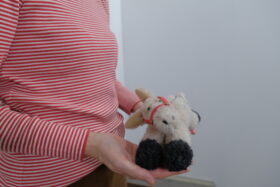 No.7978  MAJESTIC DONKEYS 2-4月 2