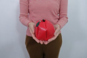 No.7974   APPLE POUCH  2-4月 1