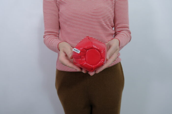 No.7974   APPLE POUCH  2-4月 2
