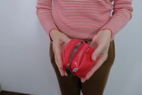 No.7974   APPLE POUCH  2-4月 3