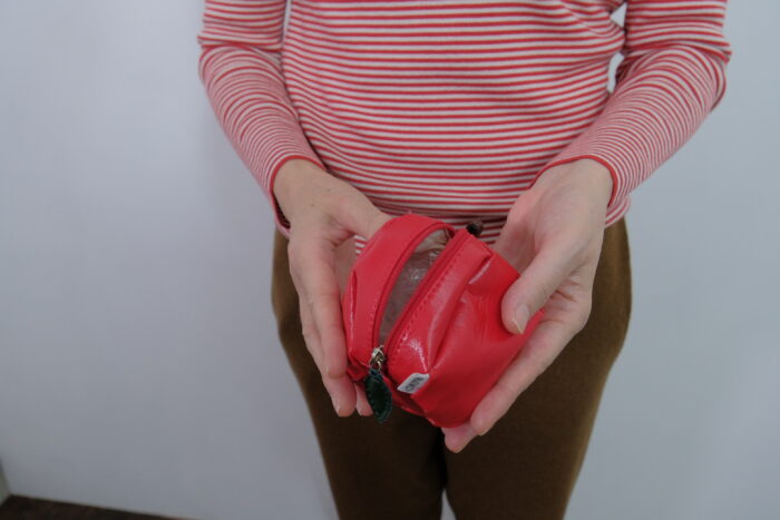 No.7974   APPLE POUCH  2-4月 3
